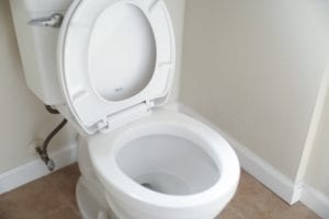 Chinese scientists actually tested how high a virus can shoot into the air when flushing a toilet
