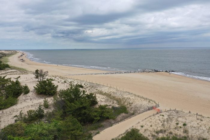 Delaware Beach Closed After "Shark" Bites 12-Year-Old Boy