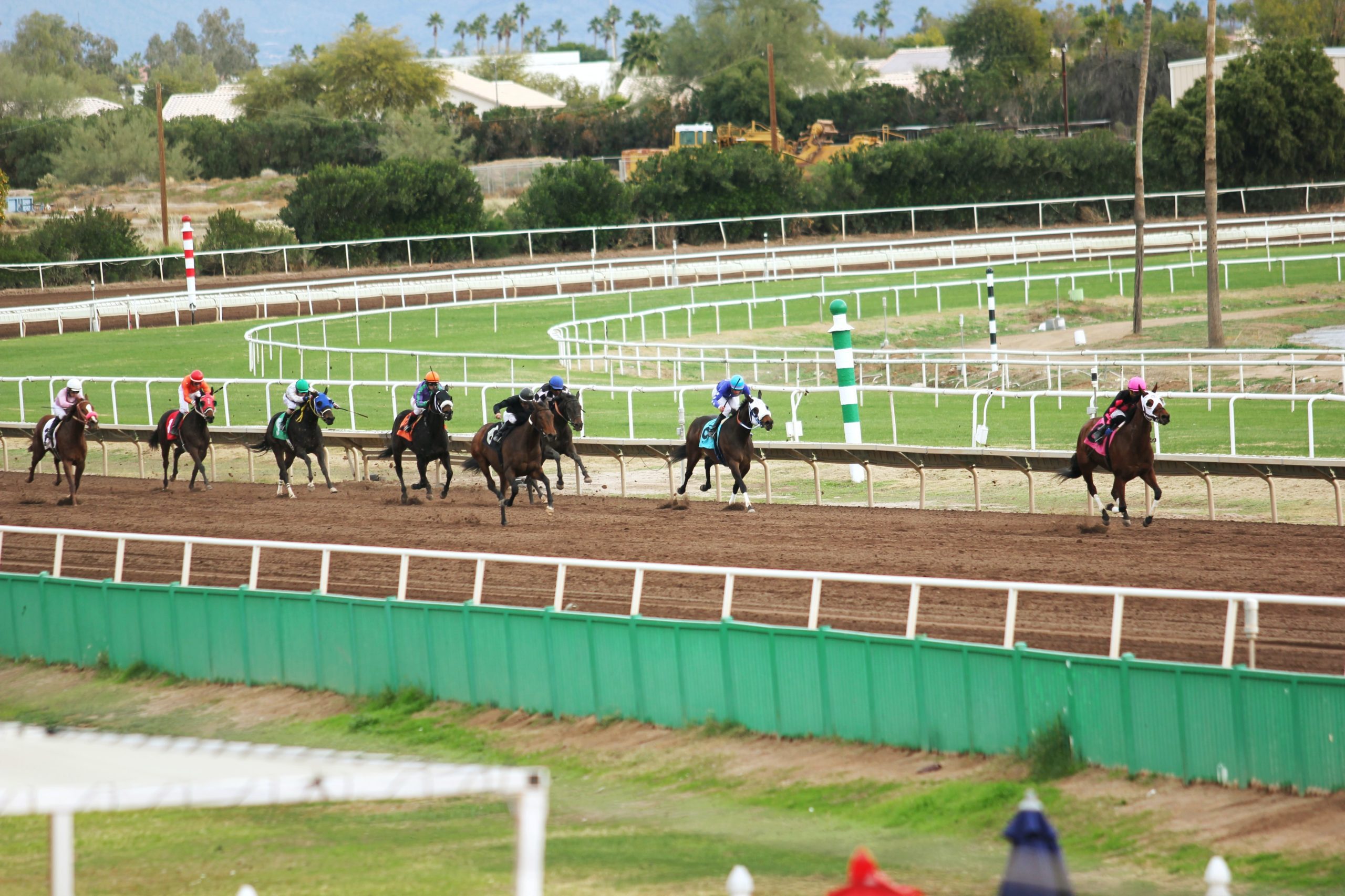Ten Racehorses Died Sunday in Fiery Crash on New Jersey Turnpike