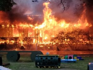 Two cats, bird, reptiles die in manchester home struck by lightning