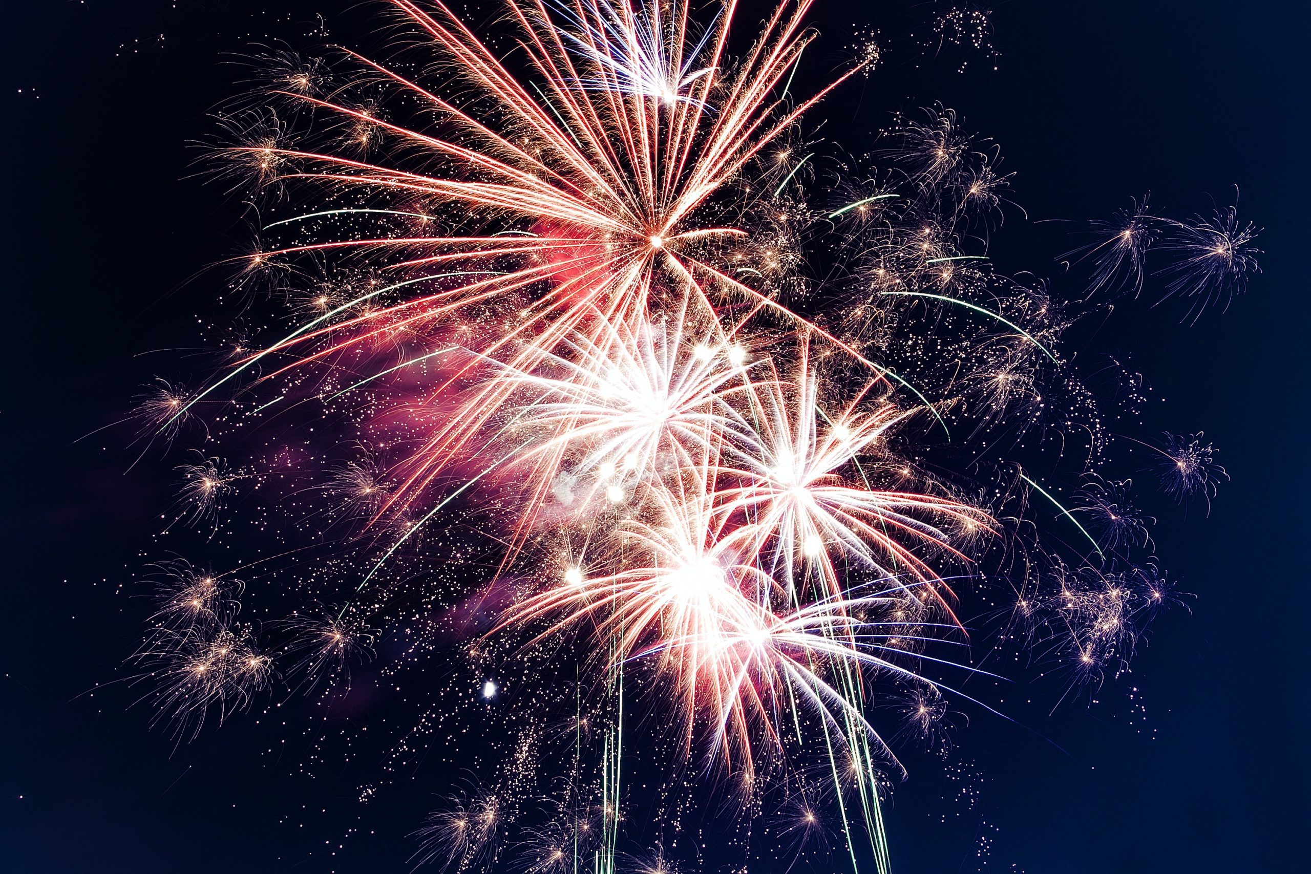 Rollin' With Roland: As Independence Day Passes, Is New Jersey or America Still the Land of the Free?