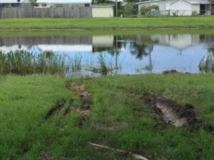 Stuart man dead after driving car into pond