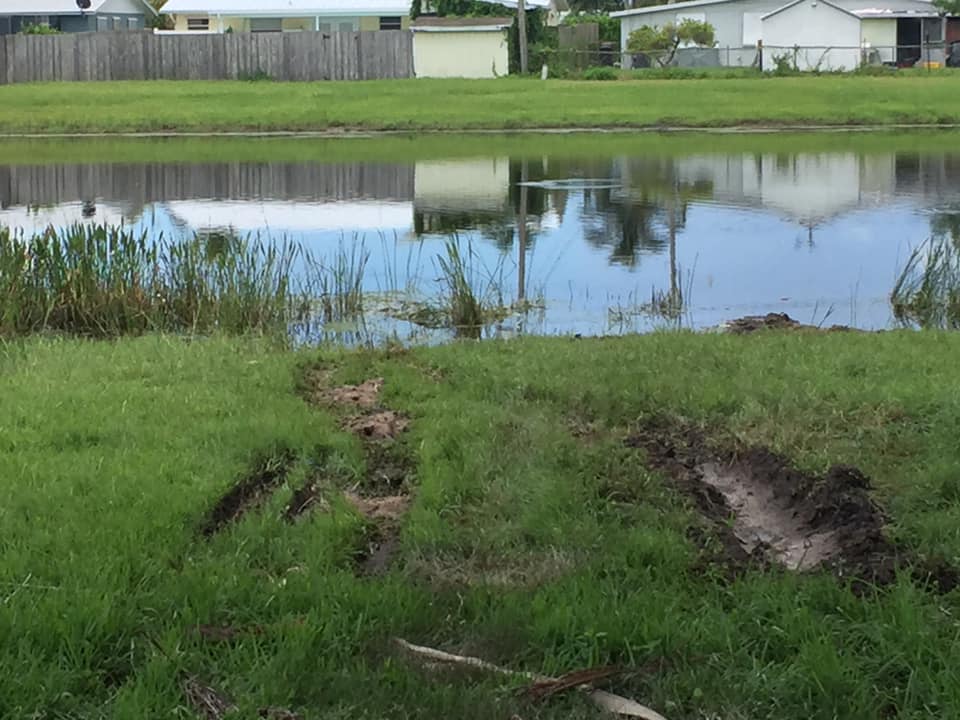 Stuart Man Dead After Driving Car into Pond