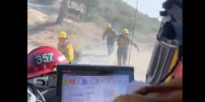 Firefighters chased off mountain by unexpected guest fighting wildfire