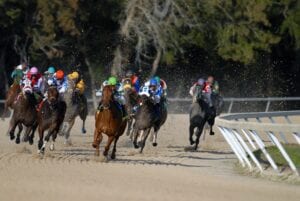 Monmouth man jumped, robbed after winning payday at monmouth race track