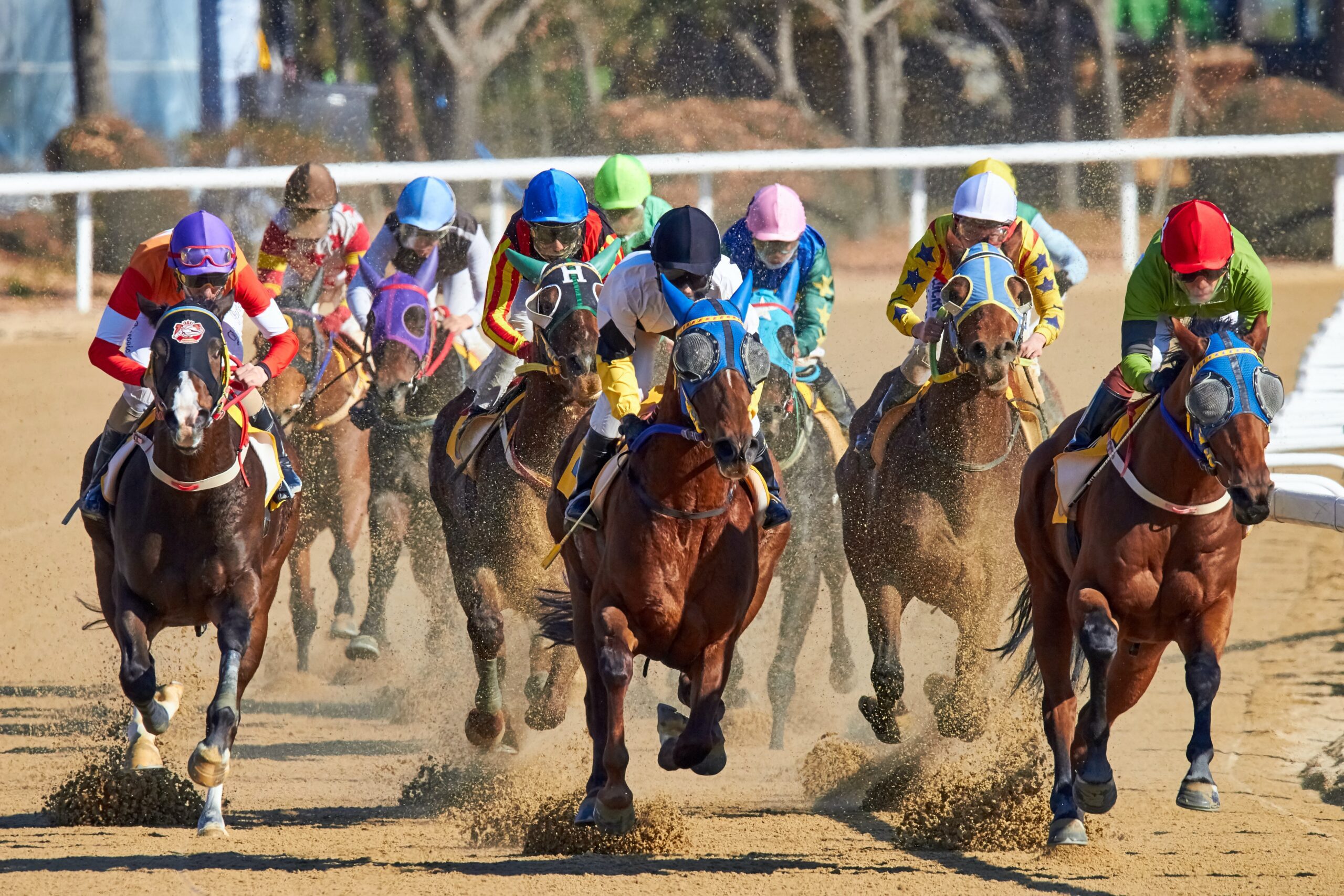 Angry Horse Bettor Receives $20,000 Award in Lawsuit Against Doped Up Horse