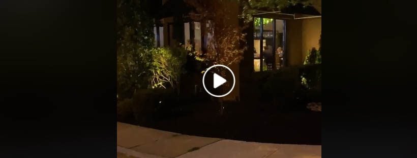 Restaurant Favorited by Phil Murphy Accused of Allowing Indoor Dining in Viral Video