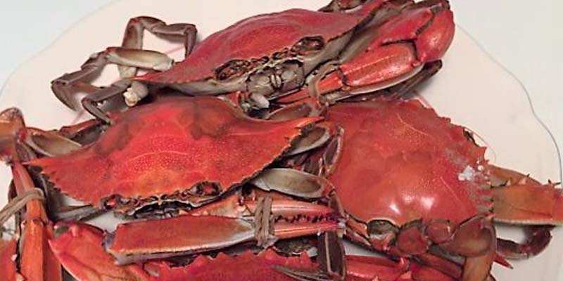 On the East Coast, Blue Crab is Big Business, Feds Cracking Down on Imitations