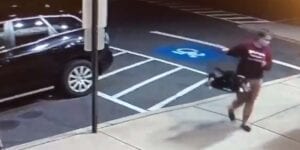 Monmouth spca seeking to identify woman who abandoned 20 cats