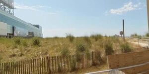 Chicken bone beach a reminder of new jersey's not so racially equal history