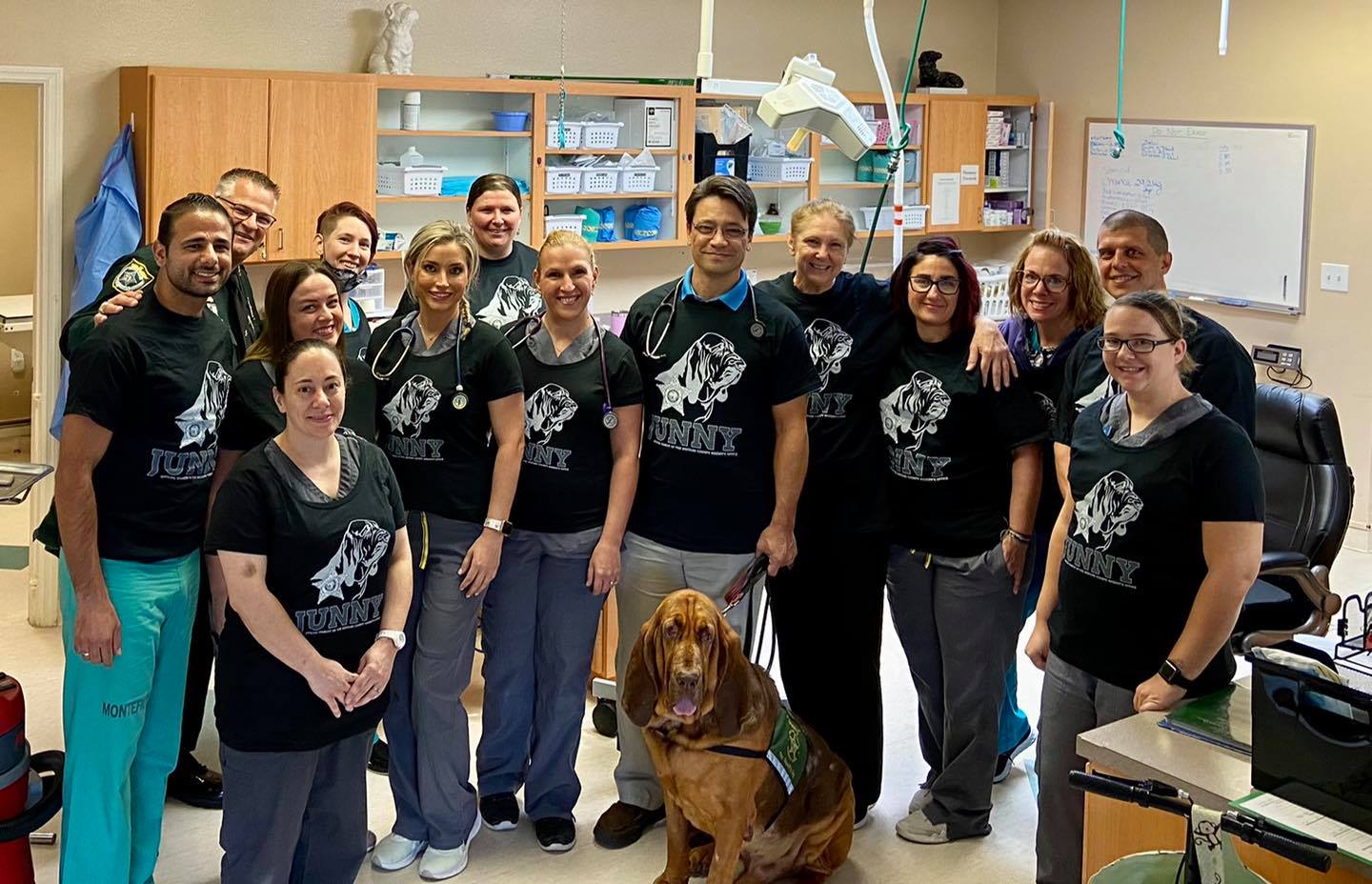 K-9 cop back on the job after getting pampered at vet
