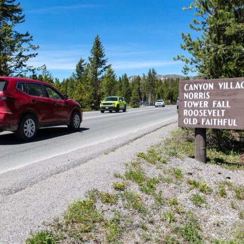 Yellowstone national park launches visitor shuttle service - photo licensed by shore news network.