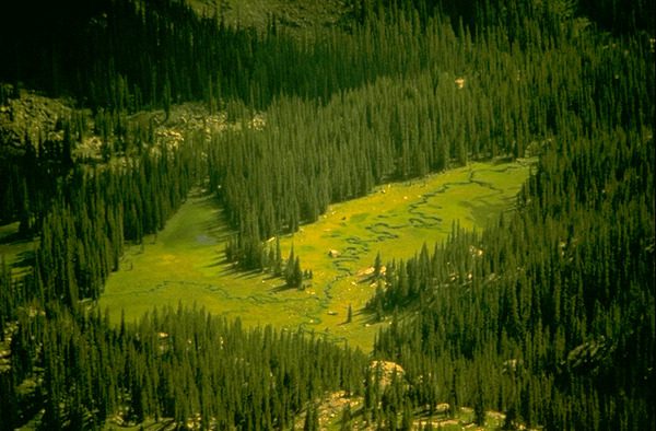 West Side of Rocky Mountain National Park Closed Dur to Fire Adjacent to Park