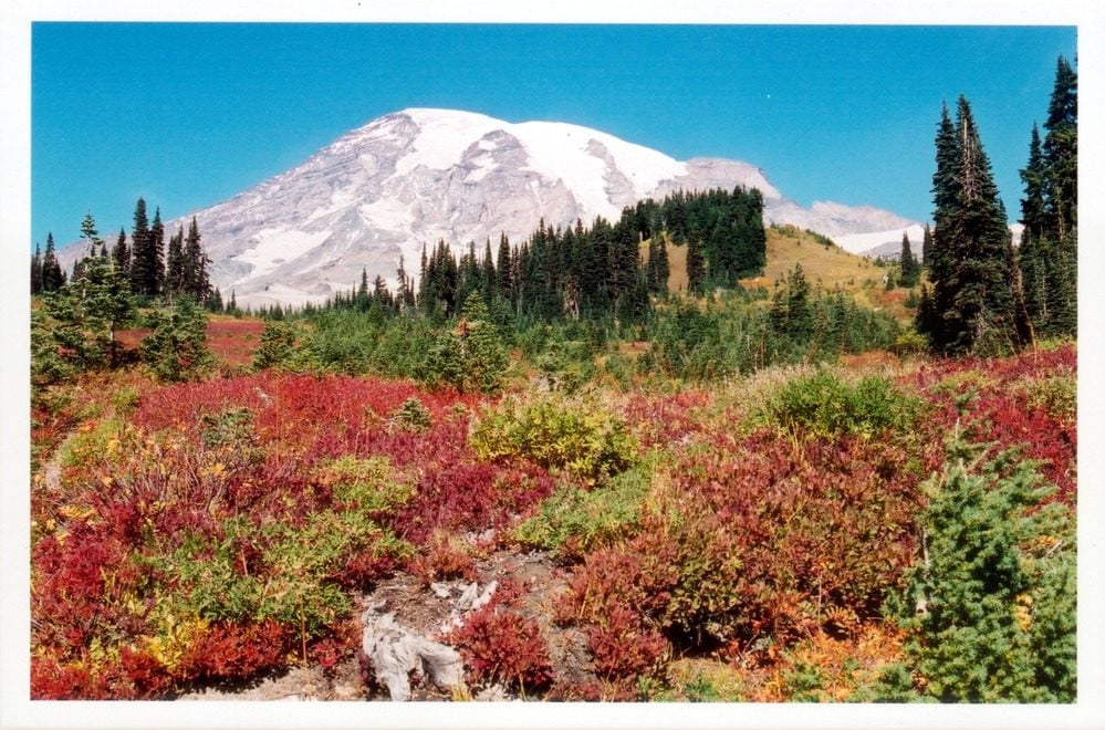 Hiker Sam Dubal Still Missing in Mount Rainier National Park After 10 Days