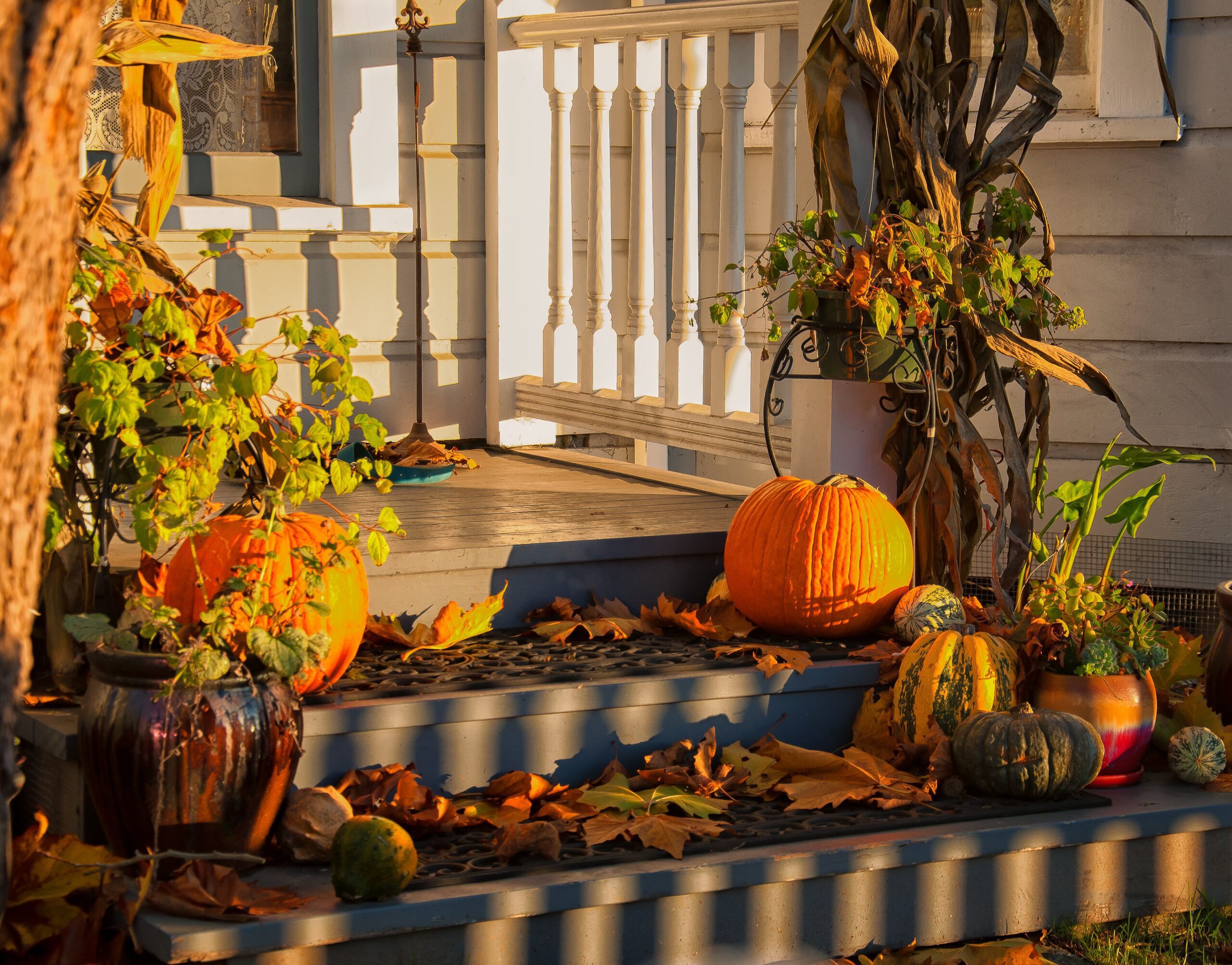 5 Reasons to Paint Your Halloween Pumpkin Instead of Carving It