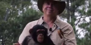 Tiger king's doc antle charged with felony wildlife trafficking