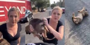 Woman threw her puppy at black man in horrible viral video