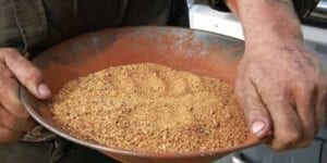 Gold Rush Returns to Discovery Channel as Pandemic Drives Up Gold Prices