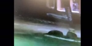 Video released of vehicle used in fatal hit and run in waterbury