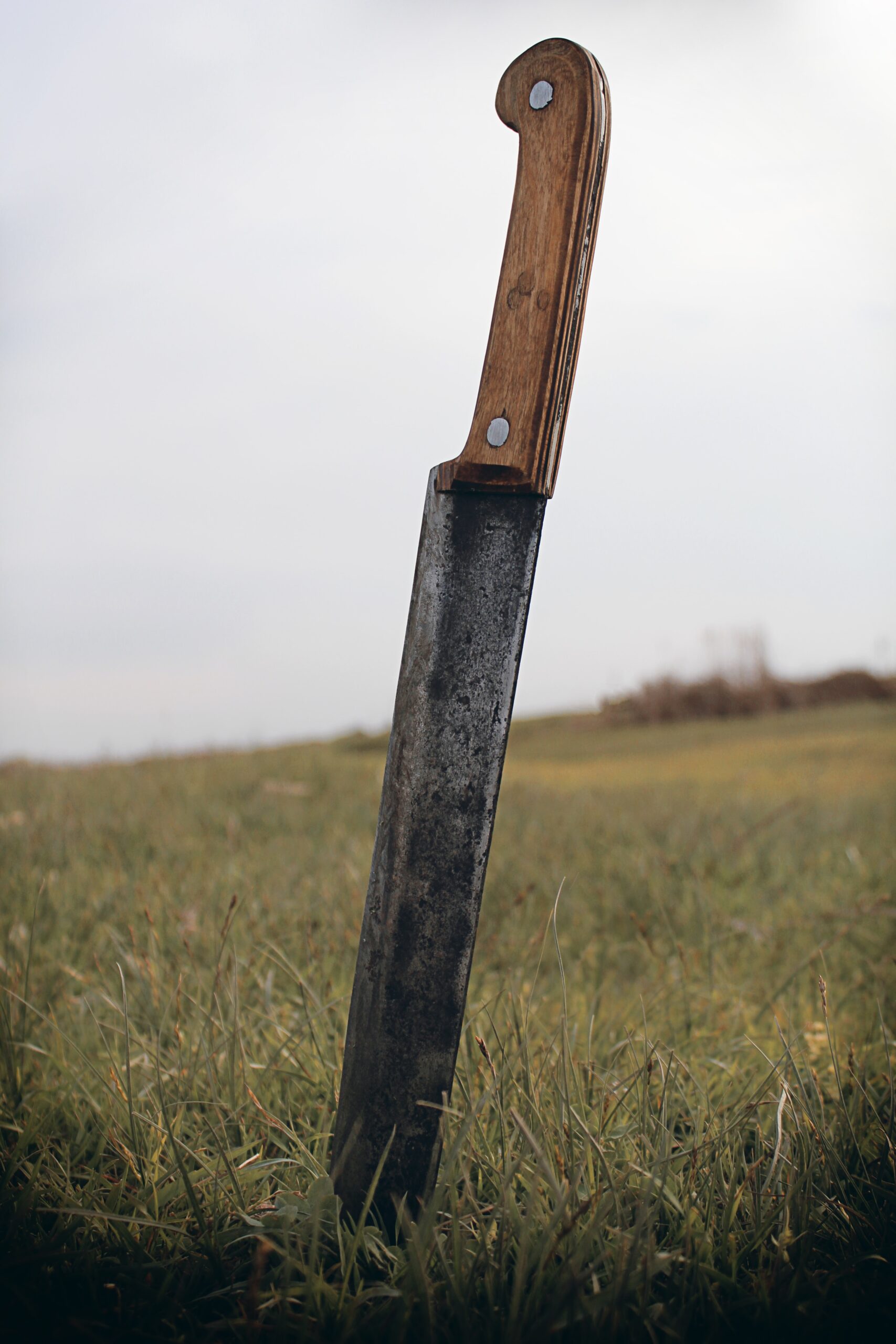 Man Slashed with Machete in Portland's Foster-Powell Neighborhood