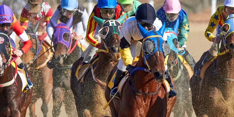 Man Who Stole, Killed Belmont Race Horse "Pasta" Indicted by Grand Jury for His Crime