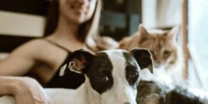 New study shows most americans feel safest at home