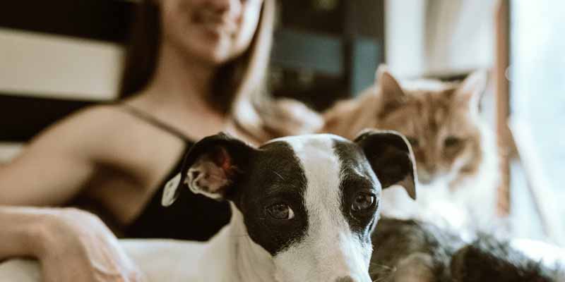New Study Shows Most Americans Feel Safest at Home