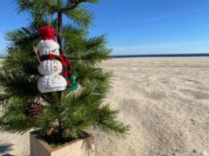 Jenkinson's has the perfect gift for everyone this holiday season, plus christmas tree ornaments