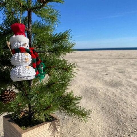 Jenkinson's has the perfect gift for everyone this holiday season, plus christmas tree ornaments - photo licensed by shore news network.