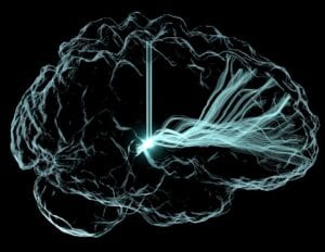 Thursday, november 19, 2020 new nih brain initiative awards move toward solving brain disorders