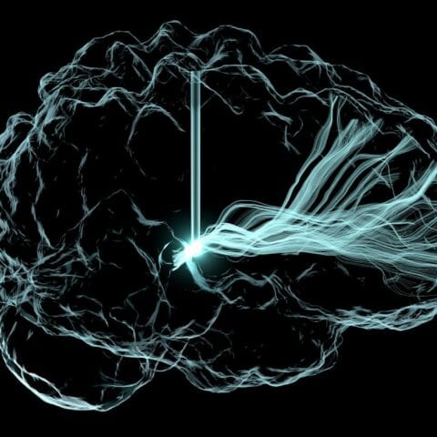 Thursday, november 19, 2020 new nih brain initiative awards move toward solving brain disorders - photo licensed by shore news network.