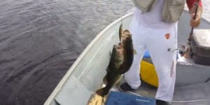 Watch Lucky Fisherman Catches 2 Bass on One Lure