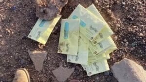 Watch: undelivered election ballots discarded on arizona farm