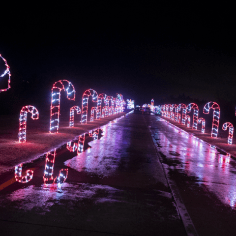 Covid-19 safe holiday light show now live at pnc bank arts center - photo licensed by shore news network.