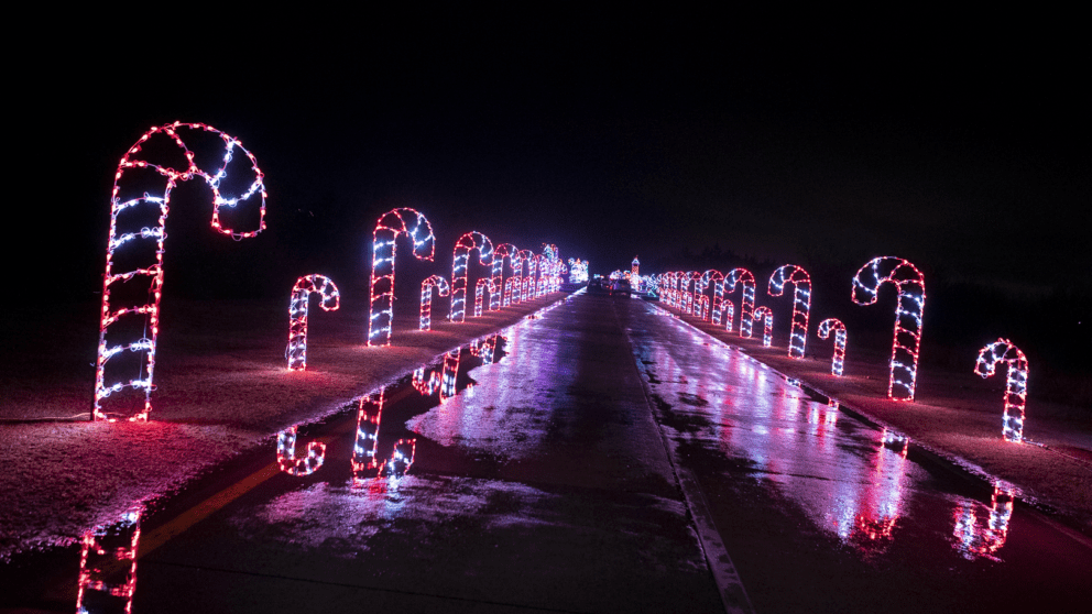 COVID-19 Safe Holiday Light Show Now Live at PNC Bank Arts Center
