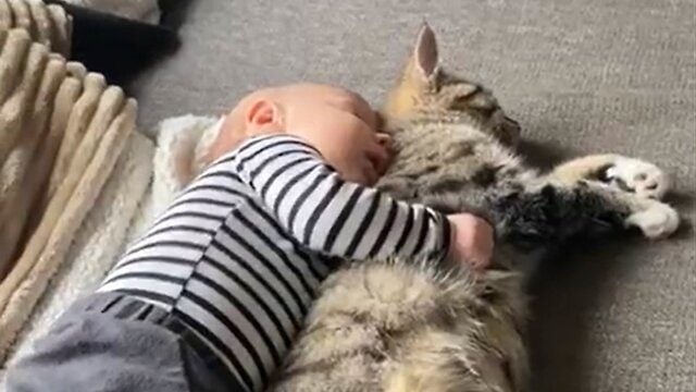 The Daily Cute: Baby Cuddles Kitty for Naptime