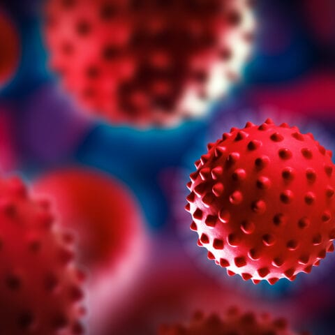 Nj top doc: covid-19 vaccine isn't perfect and here's why some vaccinated people are getting sick and dying too - photo licensed by shore news network.