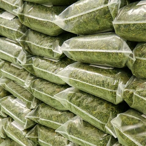 Shore area man sentenced for drug manufacturing facility in egg harbor township - photo licensed by shore news network.