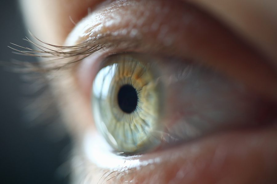 Envision color: Activity patterns in the brain are specific to the color you see