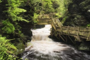 You now need a covid-19 test to visit a park in pennsylvania