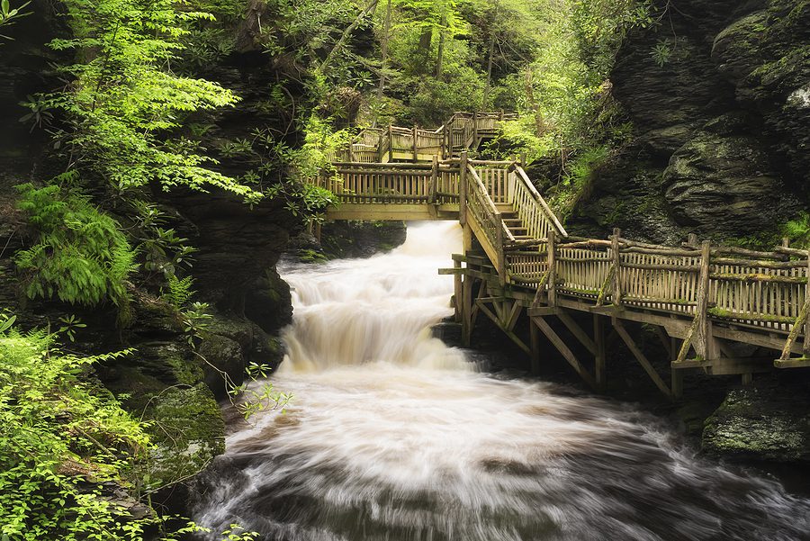 You Now Need A COVID-19 Test to Visit a Park in Pennsylvania