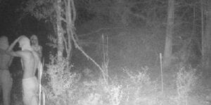 Burglars at mineral site wanted in hernando county