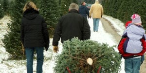 10 Best Places to Get a Real Christmas Tree in New Jersey 10 Best Places to Get a Real Christmas Tree in New Jersey