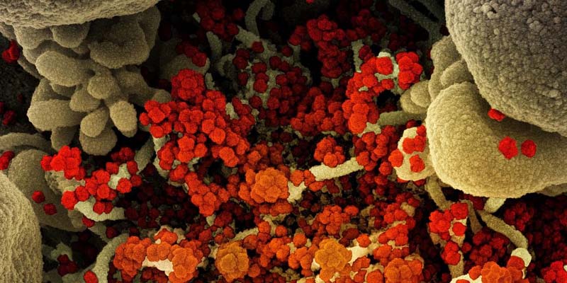 Treatments for people with early COVID-19 infection is an urgent research focus
