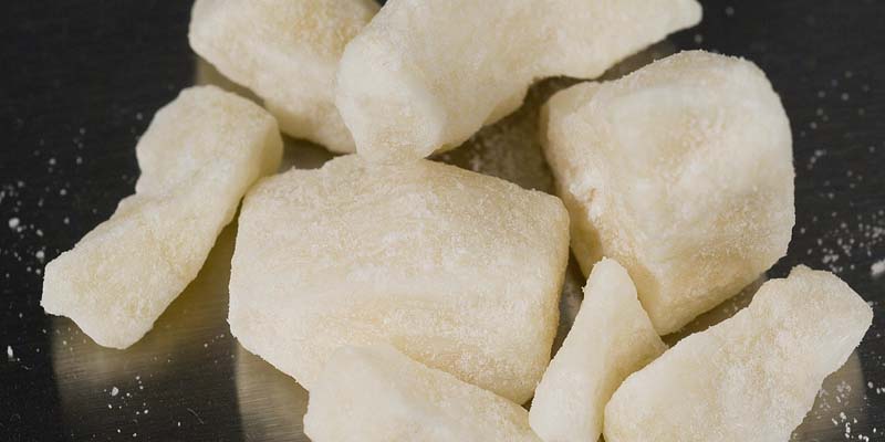 Dealer's dozen: Twelve cocaine dealers rounded up in Levy County drug sweep