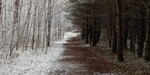 They daily reddit: winter brings snow, but to only one side of this path