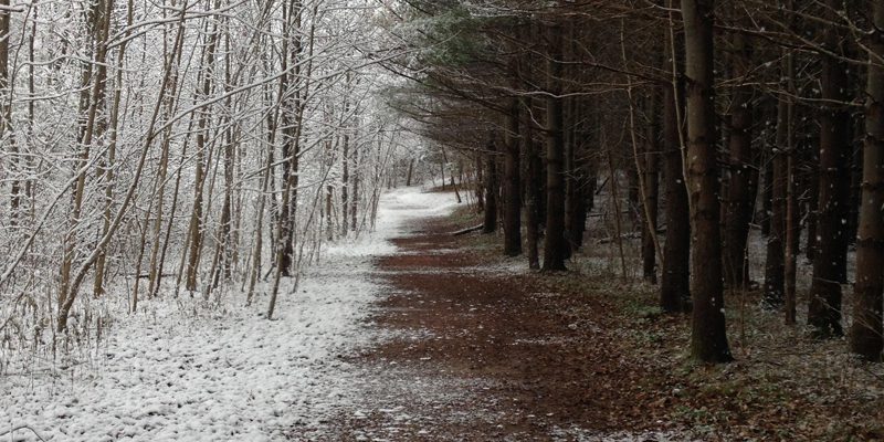 They Daily Reddit: Winter brings snow, but to only one side of this path