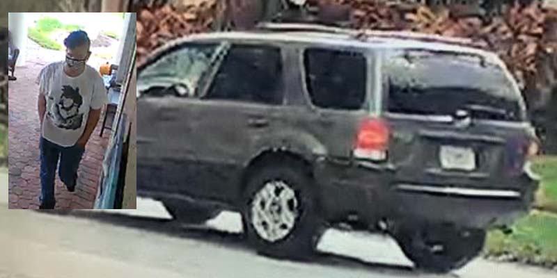 Palm City Porch Pirate on the Loose