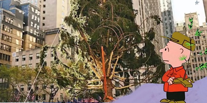 Sad Rockefeller Christmas Tree A Fitting Representation for 2020