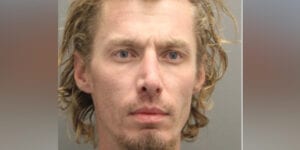 Seaford man caught in stolen vehicle after police pursuit